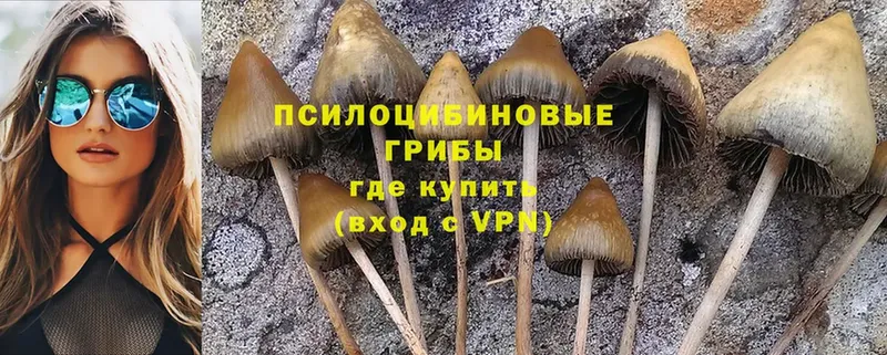 Галлюциногенные грибы Psilocybine cubensis  гидра ONION  Джанкой 